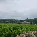 Maisonnette Climatisee Avec Jardin