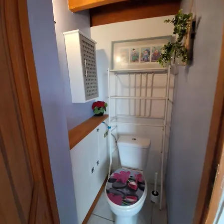 Appartement Climatise Avec Jardin