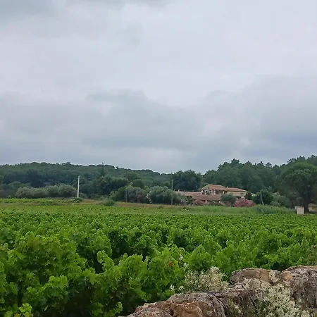 Maisonnette Climatisee Avec Jardin