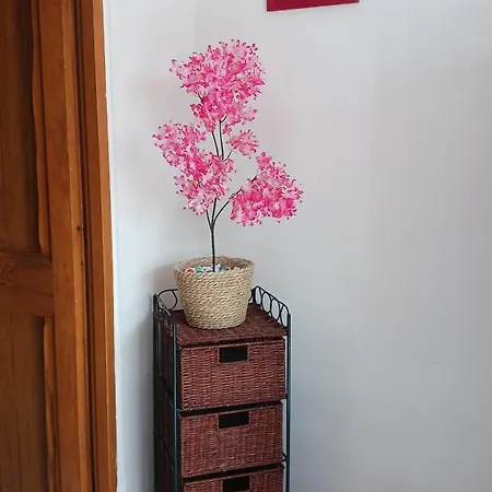 アパート Maisonnette Climatisee Avec Jardin Sabran